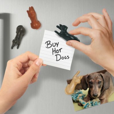 マグネット/犬/雑貨 Fred(フレッド)/マグネットドッグ4pcs 犬 いぬ イヌ Dog どうぶつ アニマル まぐねっと じしゃく 冷蔵庫 メモ ボード ペット プレゼント ギフト