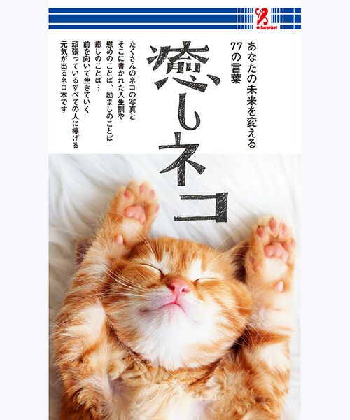 【SurpriseBook】サプライズブック 動物/猫 /癒しネコ
